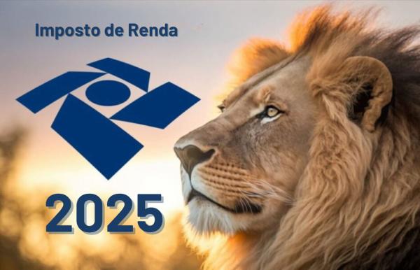 Tudo o que Você Precisa para Declarar o Imposto de Renda 2025!